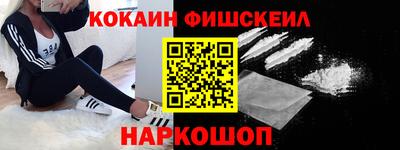 шишки Кандалакша