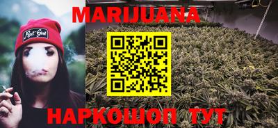 шишки Кандалакша