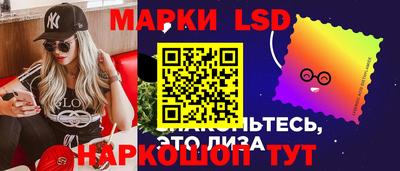 шишки Кандалакша
