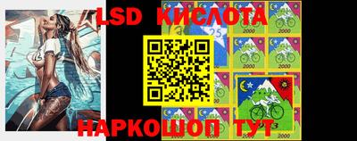 шишки Кандалакша