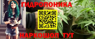 шишки Кандалакша
