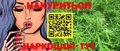 шишки Кандалакша