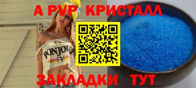 шишки Кандалакша