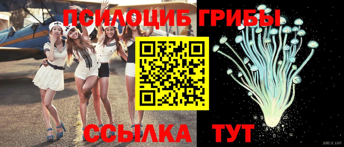 Галлюциногенные грибы Cubensis  Псилоцибиновые грибы GOLDEN TEACHER  Вход с VPN  Гудермес 