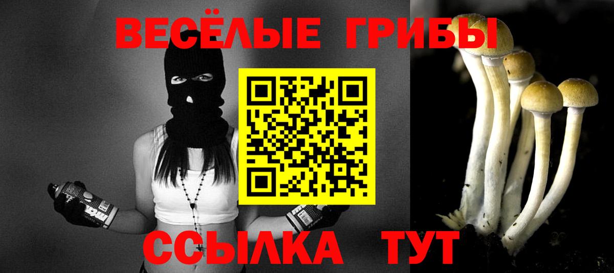 Псилоцибиновые грибы Magic Shrooms Гудермес